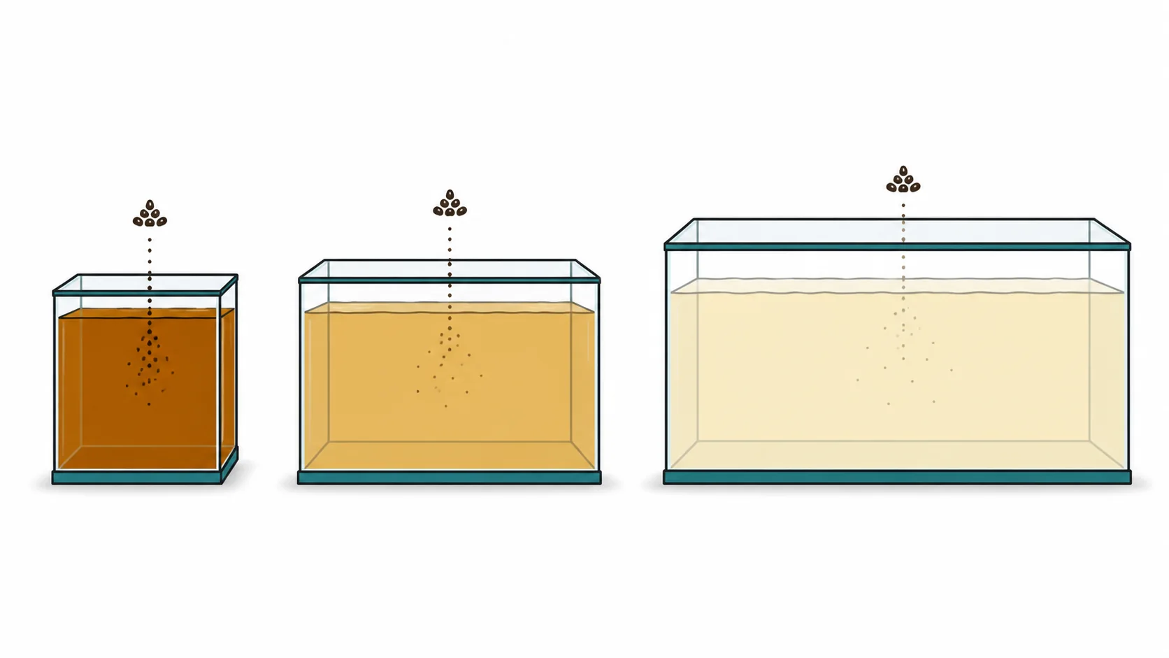 Diagram comparing ammonia concentration in 1-gallon, 5-gallon and 10-gallon tanks, showing concentration falling as volume increases
